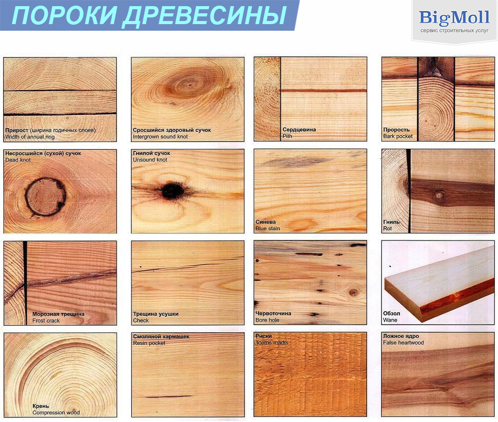Пороки древесины